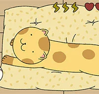 نحوه حیوان خانگی گربه هنگام بازی Adorable Home