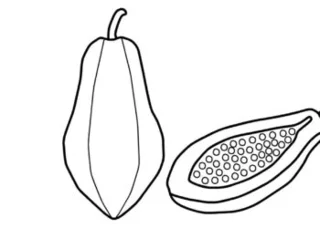 مجموعه تصاویر رنگ آمیزی پاپایا برای بچه ها برای تمرین رنگ آمیزی