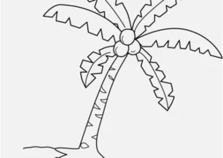 مجموعه زیباترین تصویر درخت نارگیل برای بچه ها