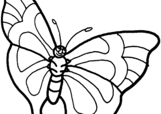 مجموعه رنگ آمیزی پروانه برای دختران