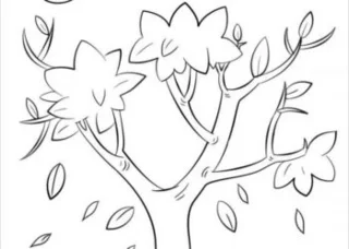 مجموعه عکس های درخت سبز برای پسران و دختران