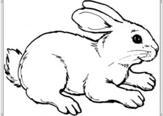 3 yaşındaki bebekler için güzel ve basit boyama resimlerinin özeti