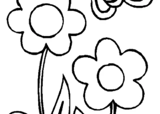 مجموعه ای از زیباترین تصاویر رنگ آمیزی گل