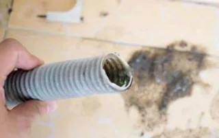 Dove puzza la lavatrice? Rimedio efficace