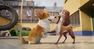 Recensione del film Corgi: I cani reali