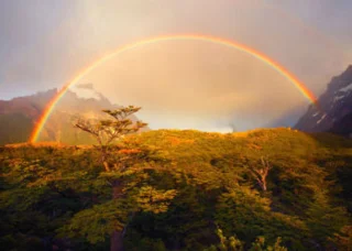 Kaçırılmaması gereken dünyanın en güzel gökkuşağı görüntülerinin derlenmesi