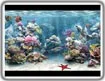 Sim Aquarium 3.9.0 - Convierte la pantalla de tu computadora en un vívido acuario 3D