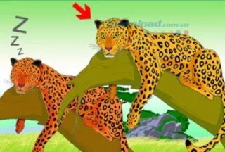 Answers to the game Catch words most complete