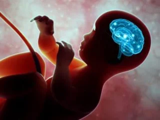 How to know smart child? 3 signs that the fetus will have a high IQ, easy to raise