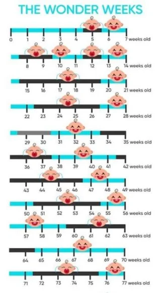 最準確的Wonder Weeks表格供參考媽媽