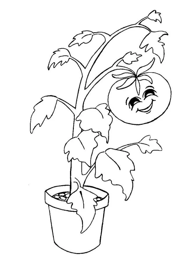 خلاصه تصاویر گوجه فرنگی های نقاشی شده به کودکان کمک می کند تا بهتر شناسایی شوند