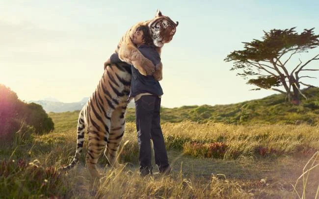 Koleksi gambar harimau terindah