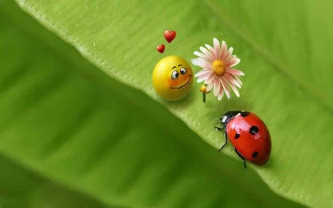 سنتز تصویر زمینه رایانه ای زیبا ، کوتاه