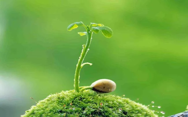 سنتز تصویر زمینه رایانه ای زیبا ، کوتاه