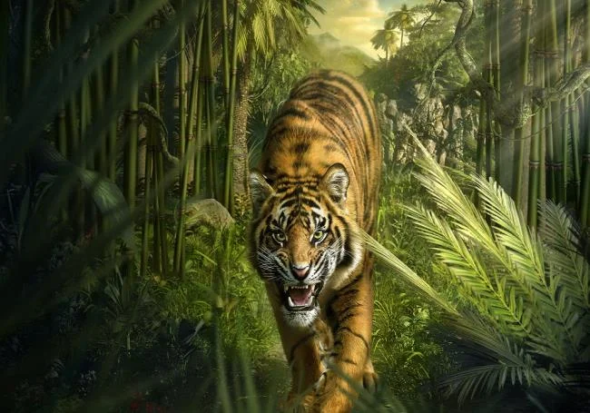 Koleksi gambar harimau terindah