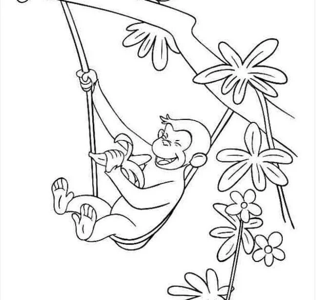 सबसे सुंदर बंदर रंग चित्रों का संग्रह