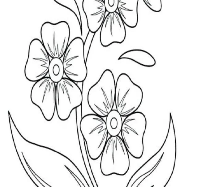 Koleksi gambar mewarnai taman paling indah untuk anak-anak