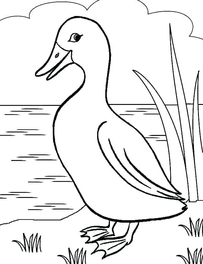 Koleksi gambar mewarnai bebek paling indah