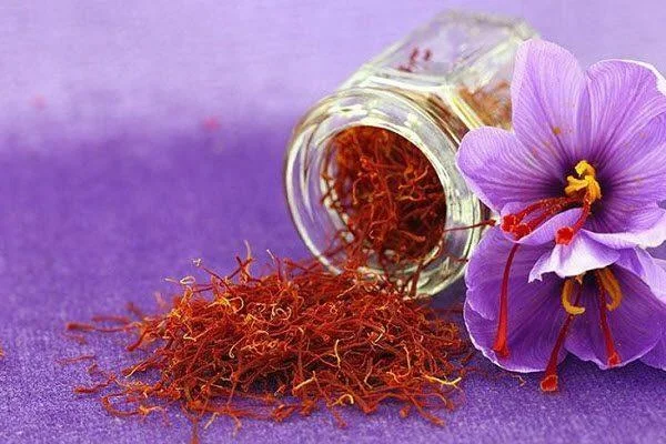 Menggabungkan gambar bunga safron yang paling indah