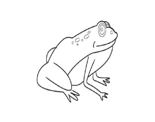 Koleksi mewarnai katak paling indah untuk bayi Anda