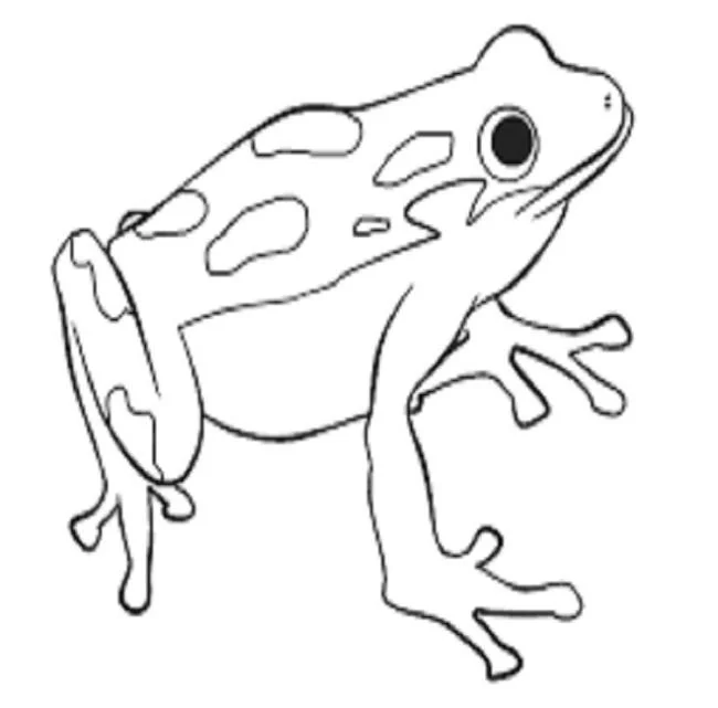 Koleksi mewarnai katak paling indah untuk bayi Anda