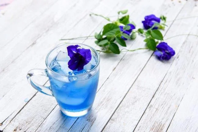 Gambar bunga kacang biru yang indah
