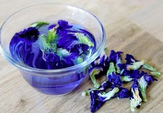 Gambar bunga kacang biru yang indah