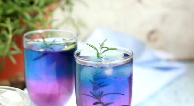 Gambar bunga kacang biru yang indah