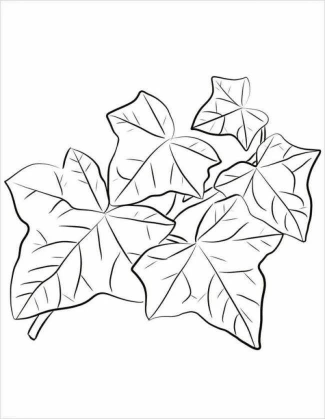 Resumen de imágenes para colorear hermosas y simples para bebés de 5 años.