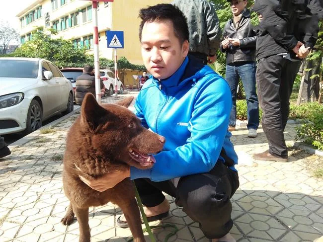 Resumen de las imágenes de perro H'Mong Coc más bellas