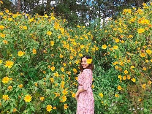Koleksi bunga matahari liar yang paling indah