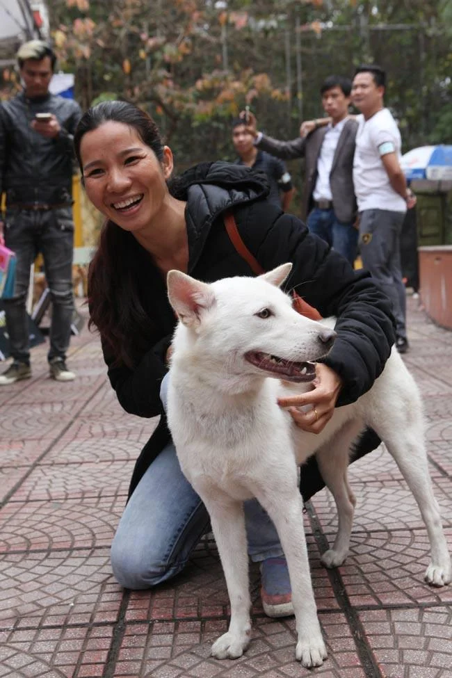Ringkasan gambar anjing H'Mong Coc yang paling indah