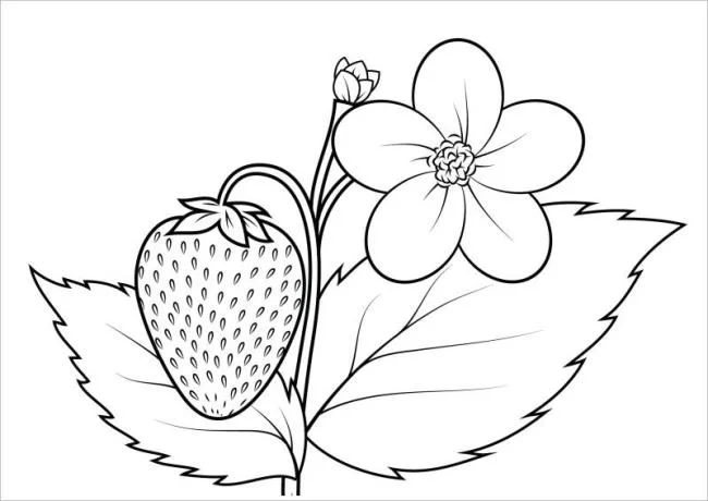 Koleksi stroberi mewarnai gambar untuk balita untuk berlatih mewarnai