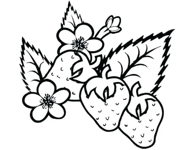 Koleksi stroberi mewarnai gambar untuk balita untuk berlatih mewarnai