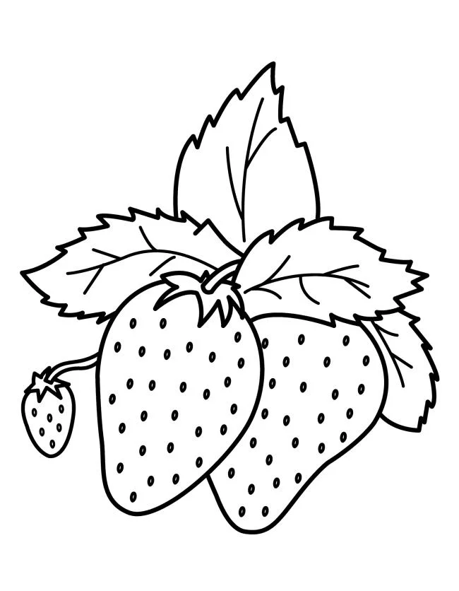Koleksi stroberi mewarnai gambar untuk balita untuk berlatih mewarnai