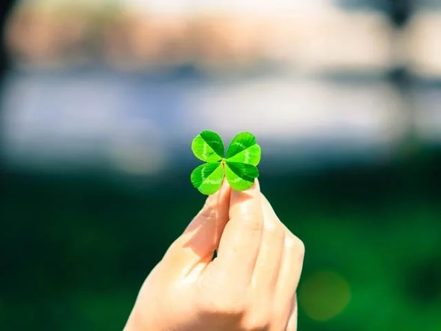 Koleksi wallpaper semanggi 4 daun membawa banyak keberuntungan dan kebahagiaan