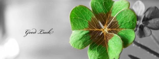 Koleksi wallpaper semanggi 4 daun membawa banyak keberuntungan dan kebahagiaan