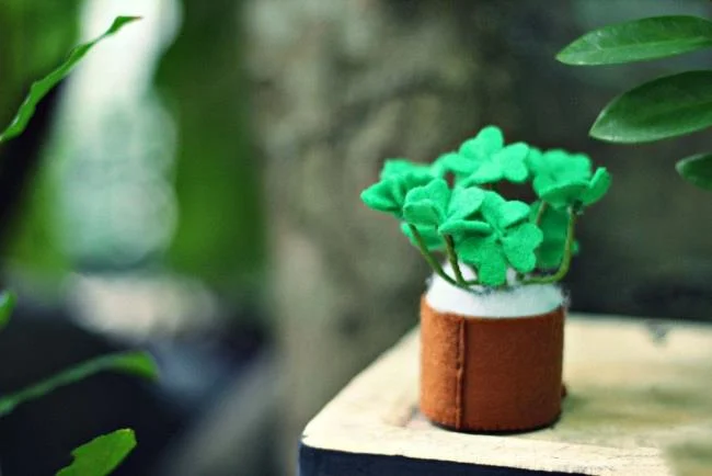 Koleksi wallpaper semanggi 4 daun membawa banyak keberuntungan dan kebahagiaan