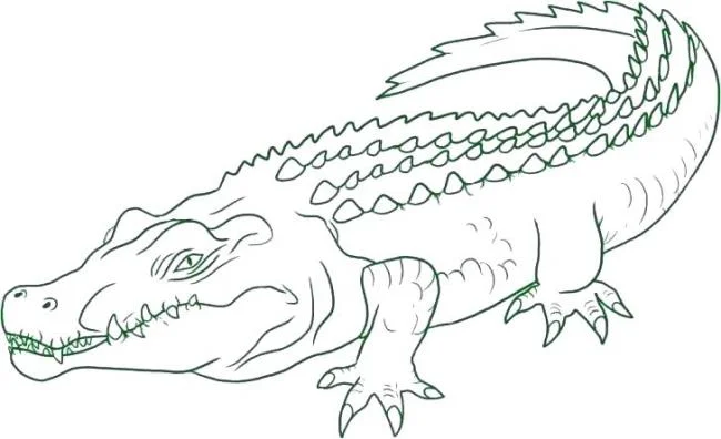 Ringkasan gambar mewarnai buaya untuk bayi berlatih mewarnai