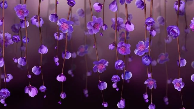 Collection of the most beautiful Flower Wallpaper
