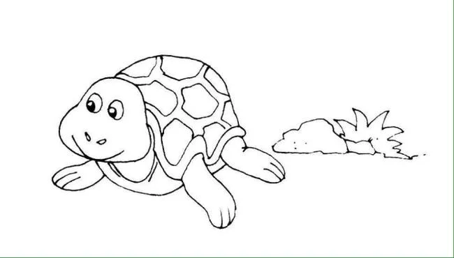 Summary of beautiful and simple coloring pictures for 3-year-old babies