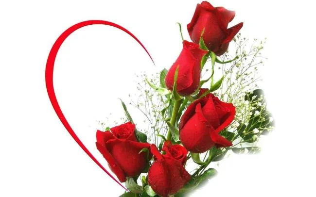 Collection of the most beautiful Flower Wallpaper