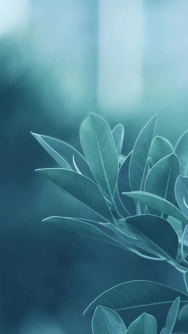 Koleksi wallpaper telefon Samsung yang paling indah