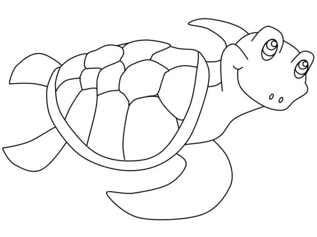 Summary of beautiful and simple coloring pictures for 3-year-old babies