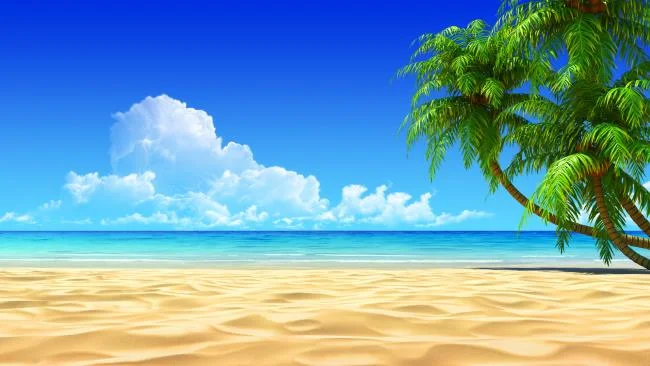 海洋美麗影像摘要