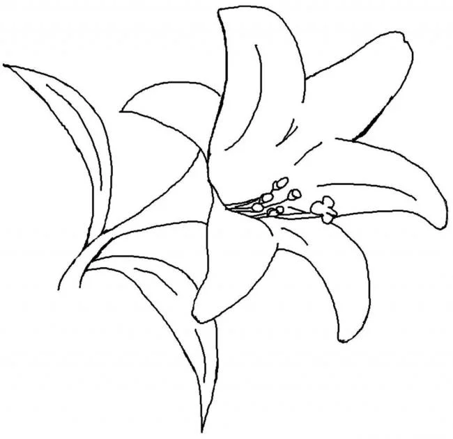 Summary of beautiful and simple coloring pictures for 3-year-old babies