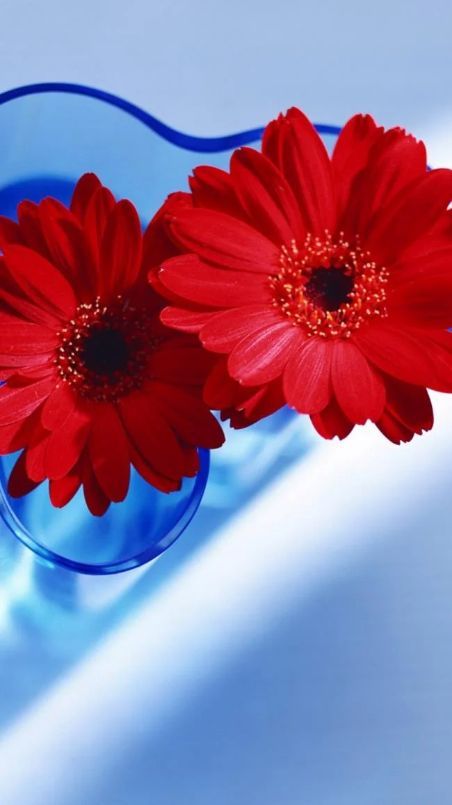 Koleksi wallpaper telefon Samsung yang paling indah