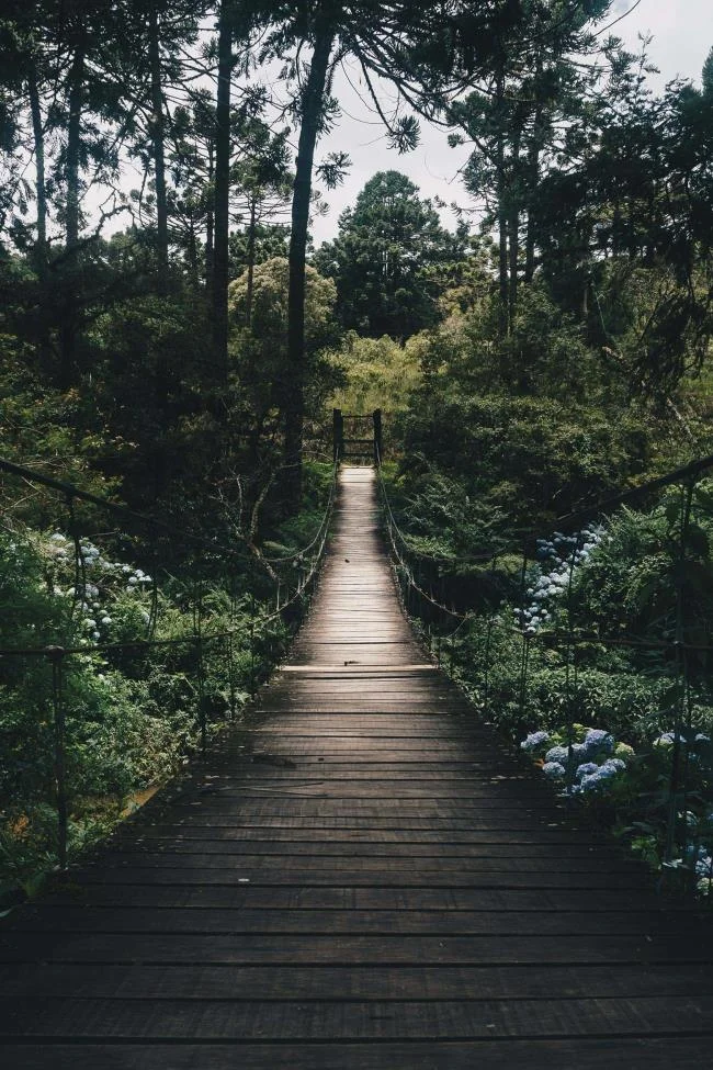 Koleksi wallpaper telefon Oppo yang paling indah