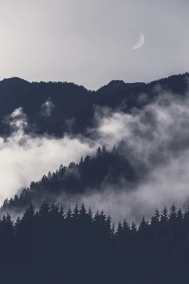 Koleksi wallpaper telefon Oppo yang paling indah