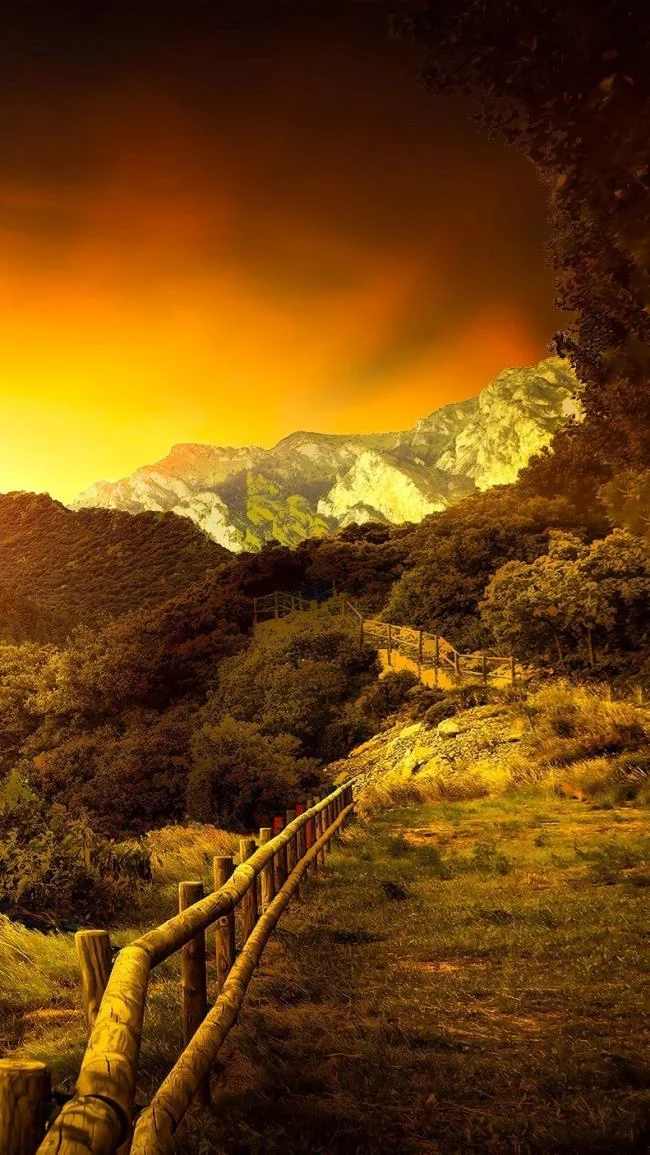 Koleksi wallpaper telefon Oppo yang paling indah